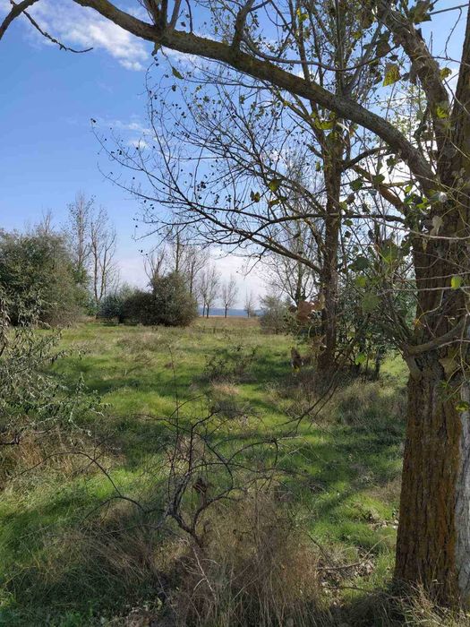 Продава се Парцел в с. Крапец, Област Добрич - 50000 кв.м за 3 €/кв.м - Снимка #5