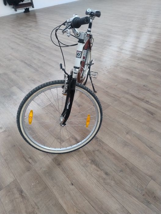 Bicicleta adulti