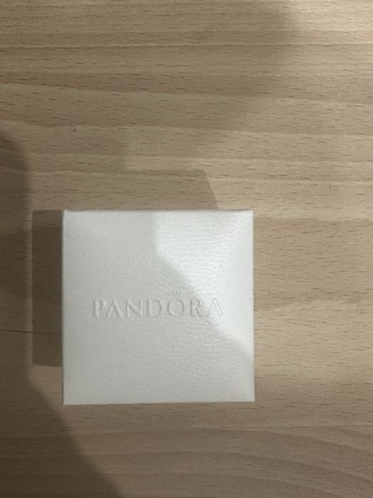 Гвоздики Pandora