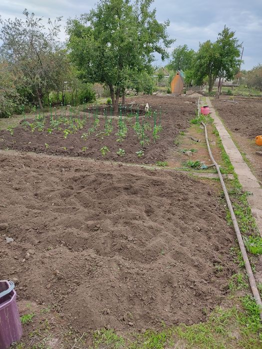 Продам дачу в с/о " арматурщик "