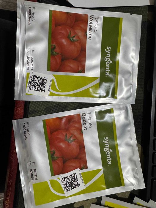 Pomidor Wolverine Bobcat F1 2026 yil