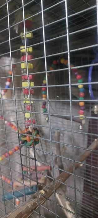 Клетка для Попугая