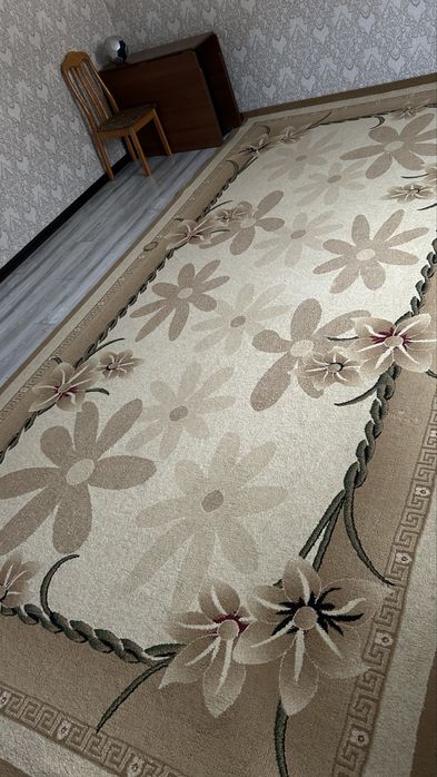 Ковер очень хороший 2,5х5