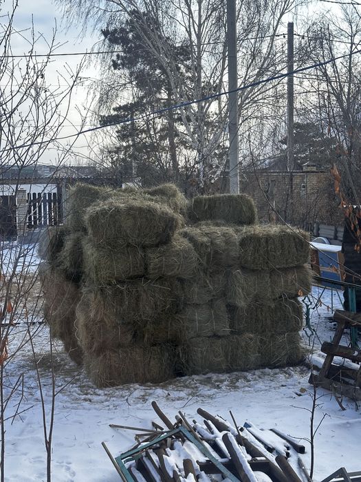 Продам продам майкудук