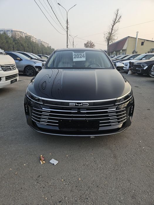 Byd chazor 2024 2 poz full