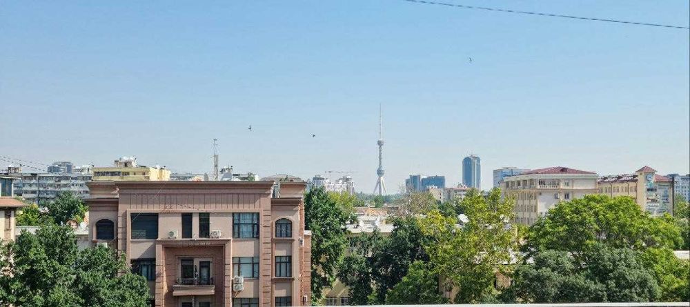 Квартира в центре .Своя.Полностью укомплектованная.3 комнаты .116 кв.м