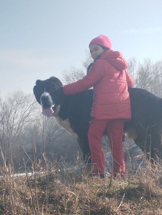 Открыт для вязок