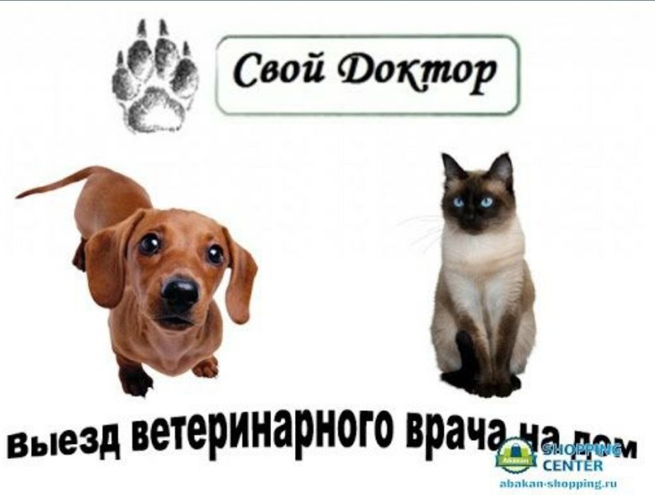 Ветеринар Сергилийский Район Хасанхожи работаем кругласуточно