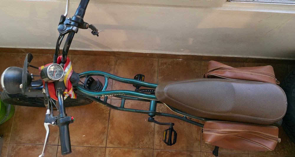 Bicicleta electrica Pegas Partizan