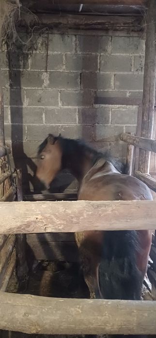 продам  Байтал...