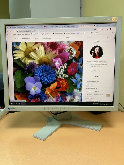 Промоция Монитор EIZO FlexScan L985EX 21,3 inch