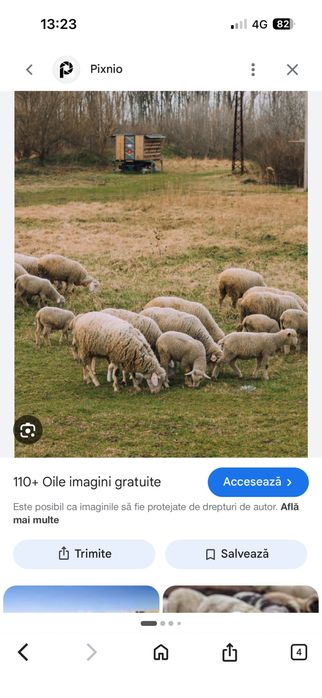 Vand oi si capre , 0771702748