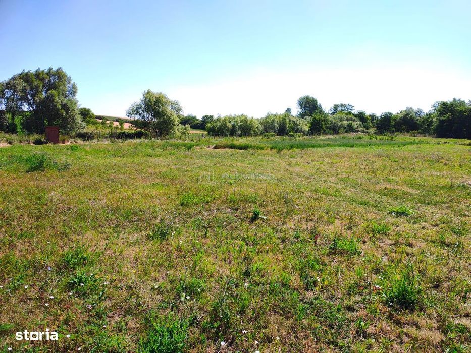 Teren 18.247 mp cu balta de pescuit – Misca, Comuna Chislaz, Bihor
