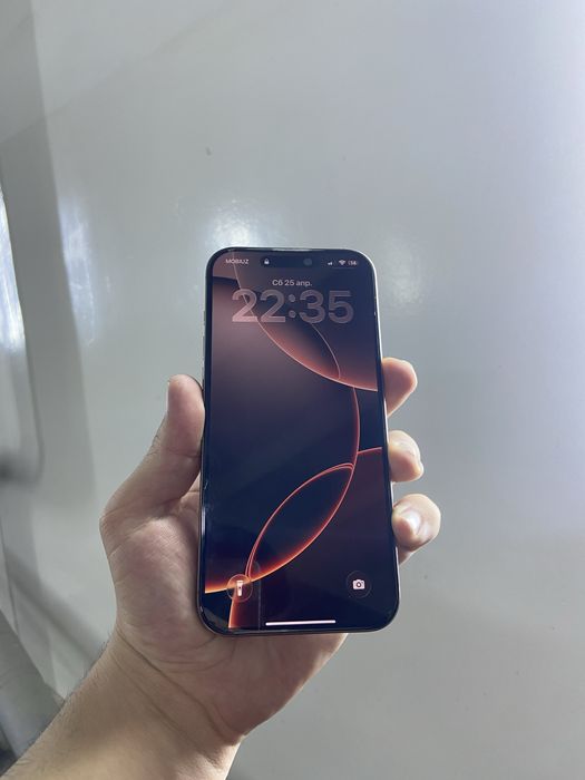 iPhone 16 Pro Max ideal