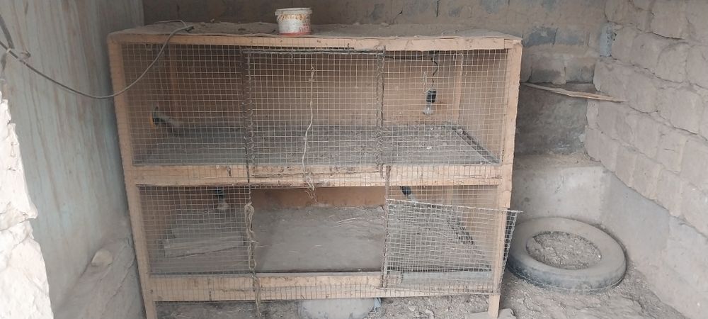 Домик для цыпленки