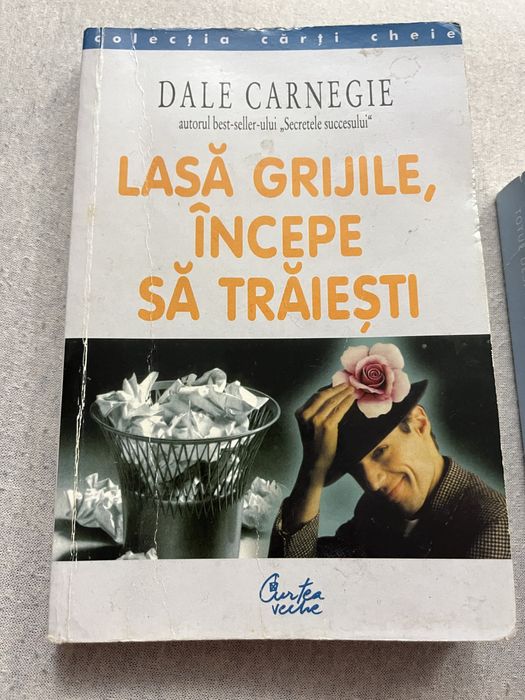Cartea Lasa grijile - incepe sa traiesti