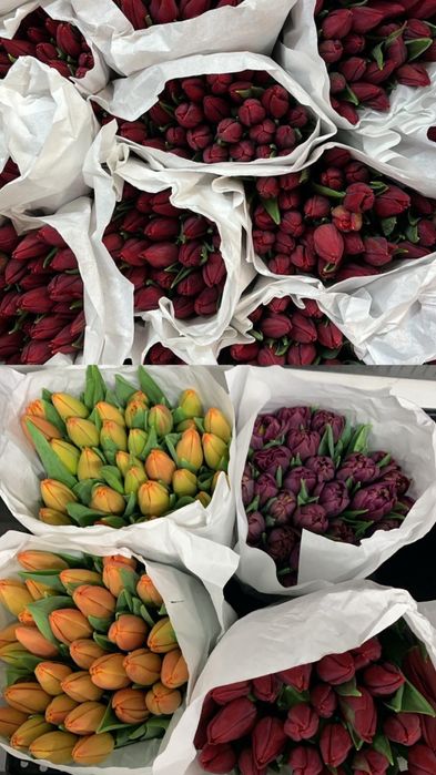 Тюльпаны, которые решают вопрос