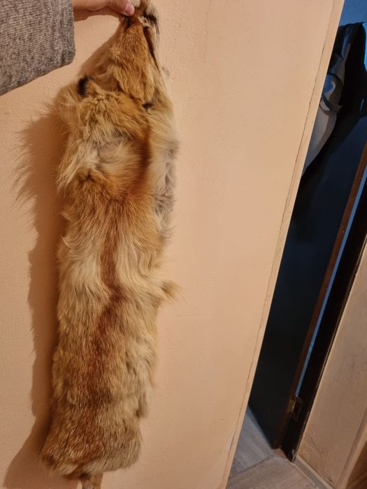 Лиса 15000 мягкая