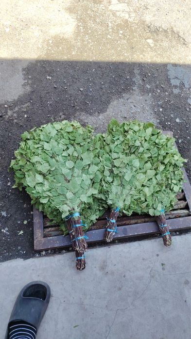 Продаю веники для бани