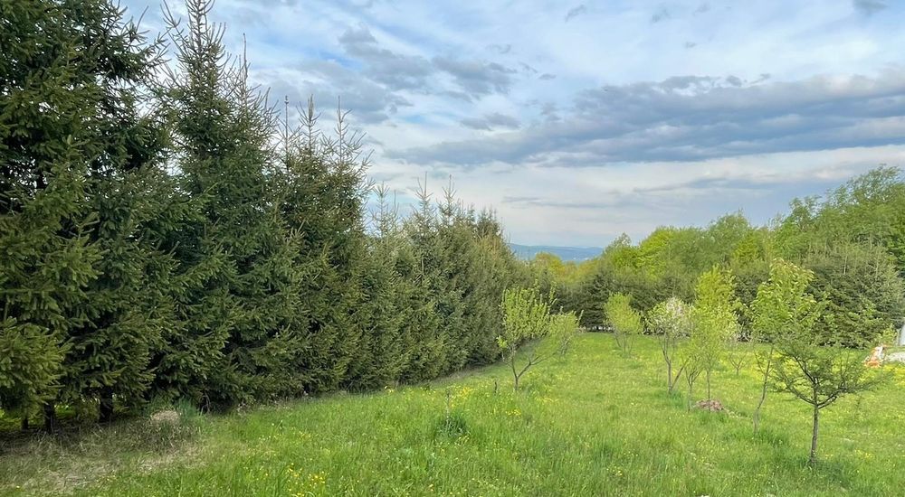 Vând teren intravilan sau schimb cu apartament in Sighet sau Baia Mare+diferenta din partea mea