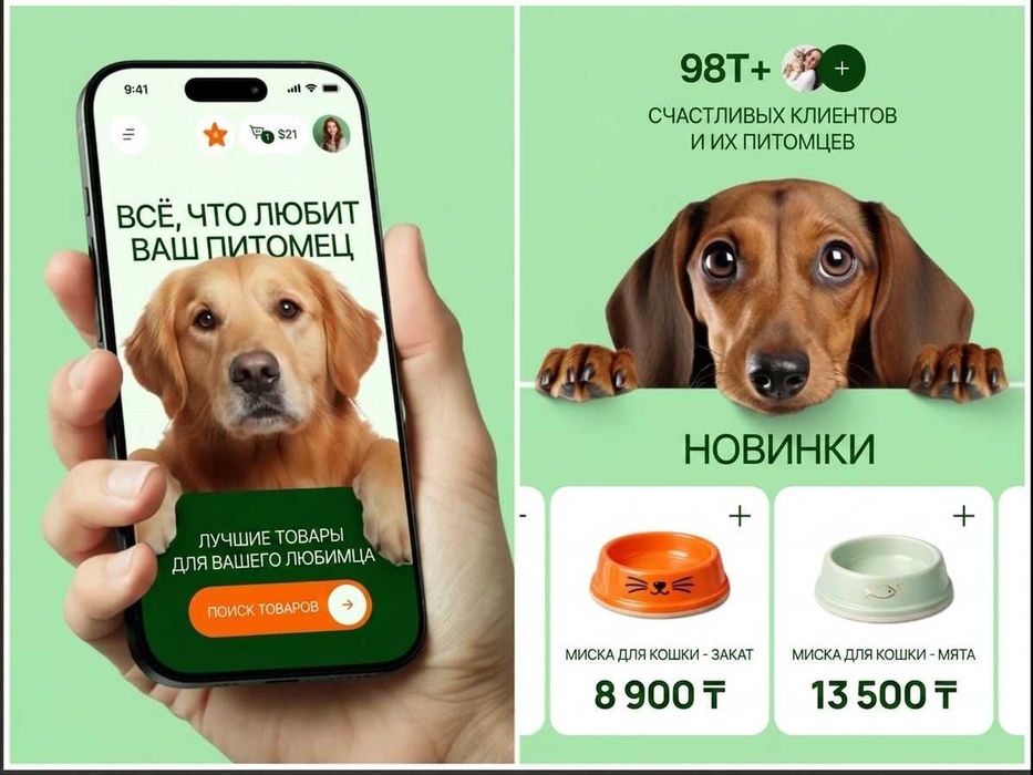 Создание сайтов 5+ лет опыта — Автор salyq-app.kz | По всей РК