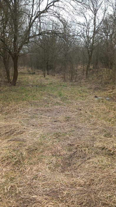 Casa si teren in Topa nr 21 jud Cluj