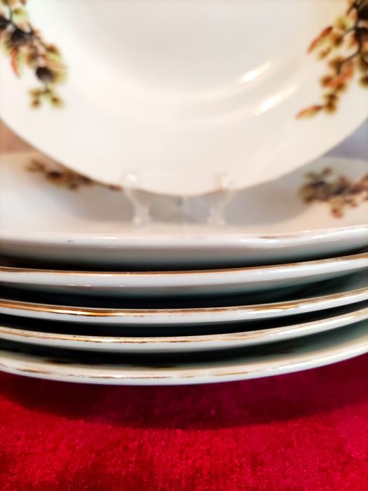 Тарелки Шишки Япония(период СССР), суповые е б.у.