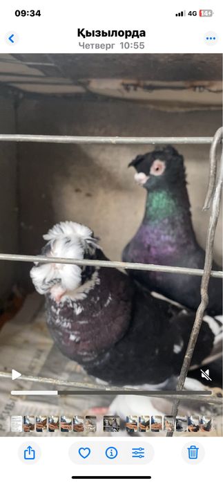 Молодеж летно игровых глубей!