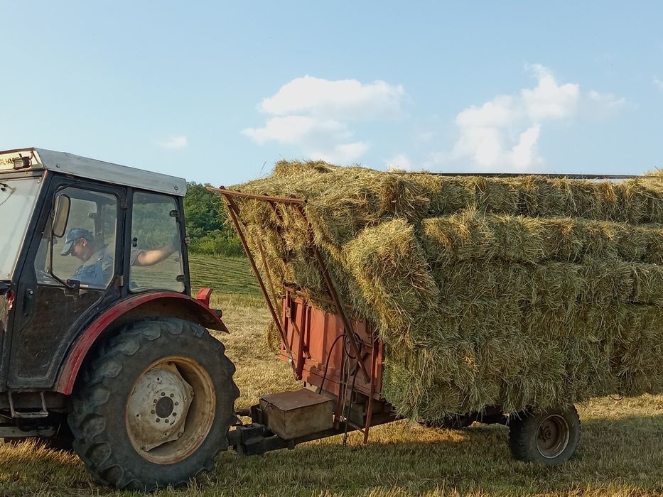 Vand Baloti dreptunghiulari