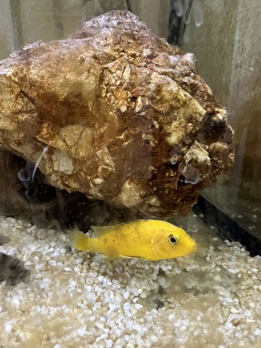 Продам аквариум большого размера.