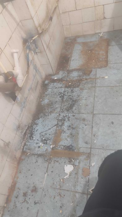 Menaj, curățenie, îngrijire animale de companie