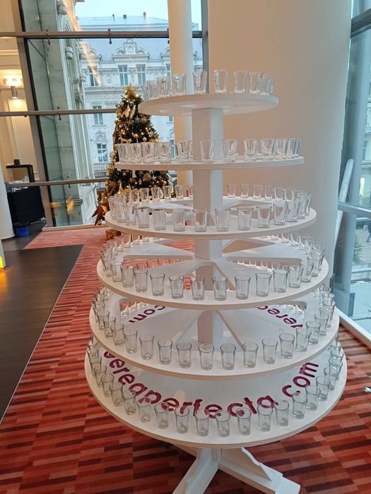 Bar din fructe si fantana de ciocolata , Inghetata la nunta ,