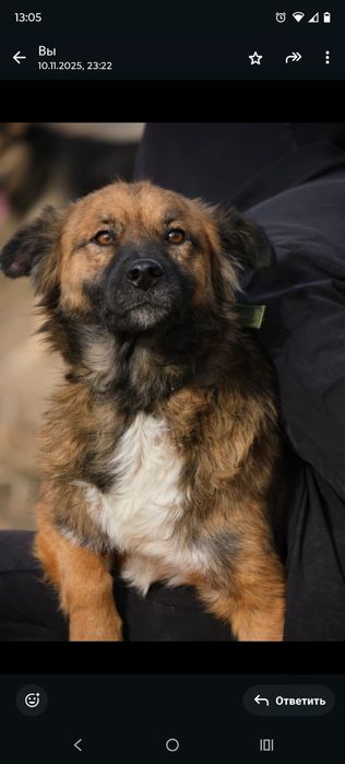 Кому.ОхРаниКи,кОмпаНьеНы,сТорожа