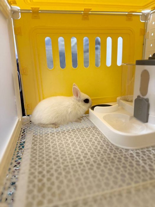 Farzandingizga telefon emas… yurak bilan bog‘lanadigan tirik do‘st ber