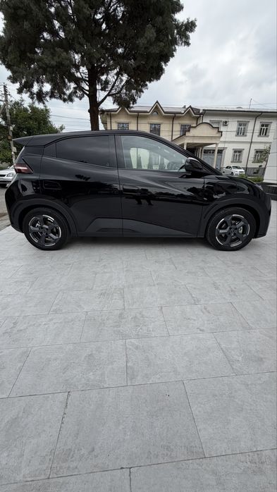 BYD Seagull 2024 — 2