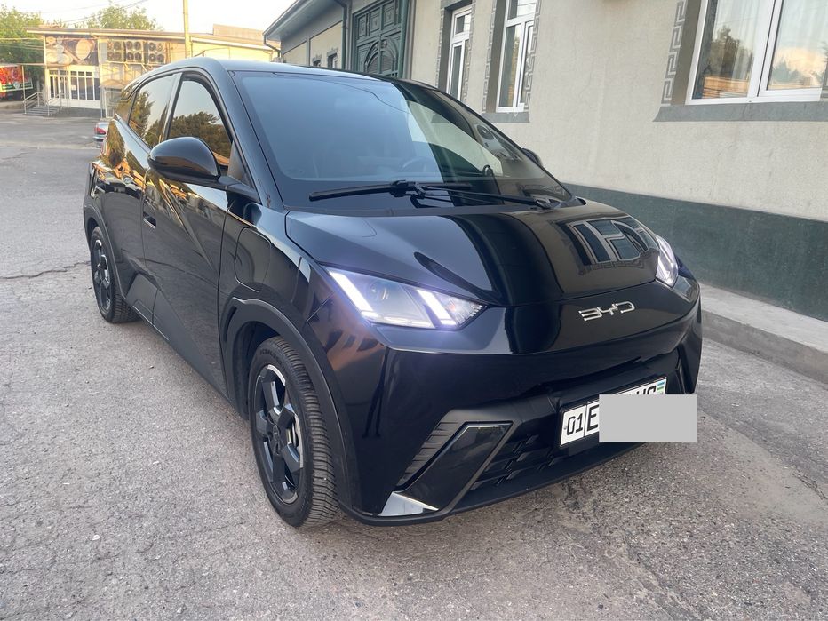 Биваеди Сигл 2023. Ел холати зўр