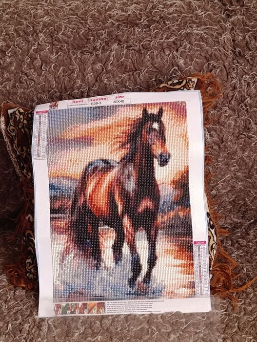 Изработени диамантени гоблени без рамка