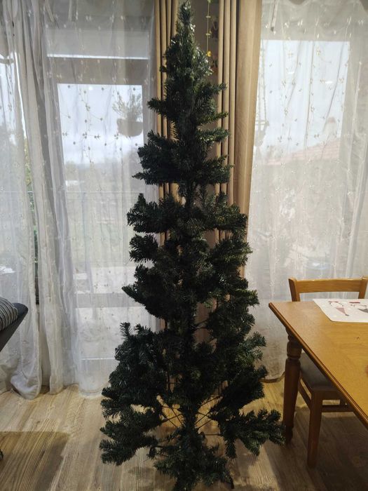 Коледна     елха