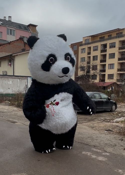 Изненада с гигантска триметрова бяла мечка или панда!