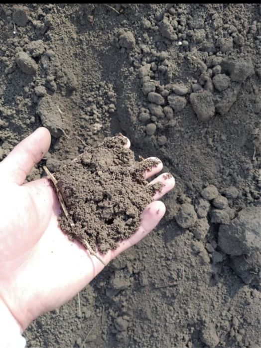 Доставка Чернозёма самосвалами.