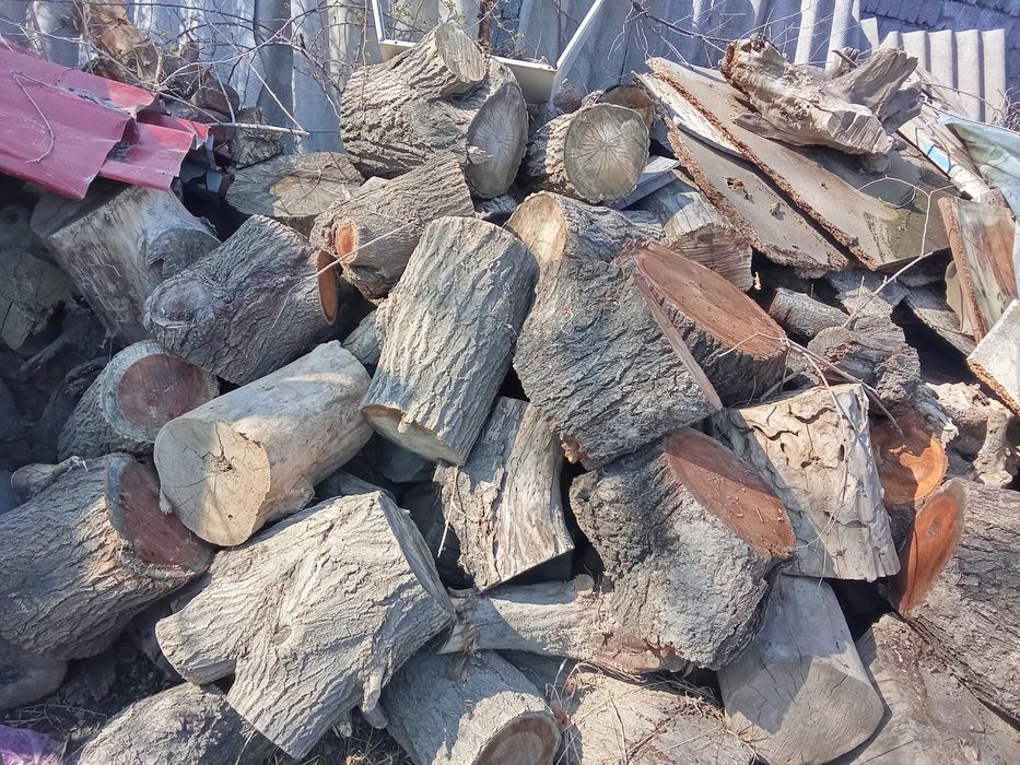 Ағаш сатылады баняга