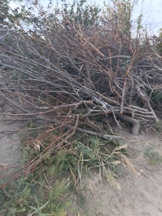 Курук Утин  сотилади.