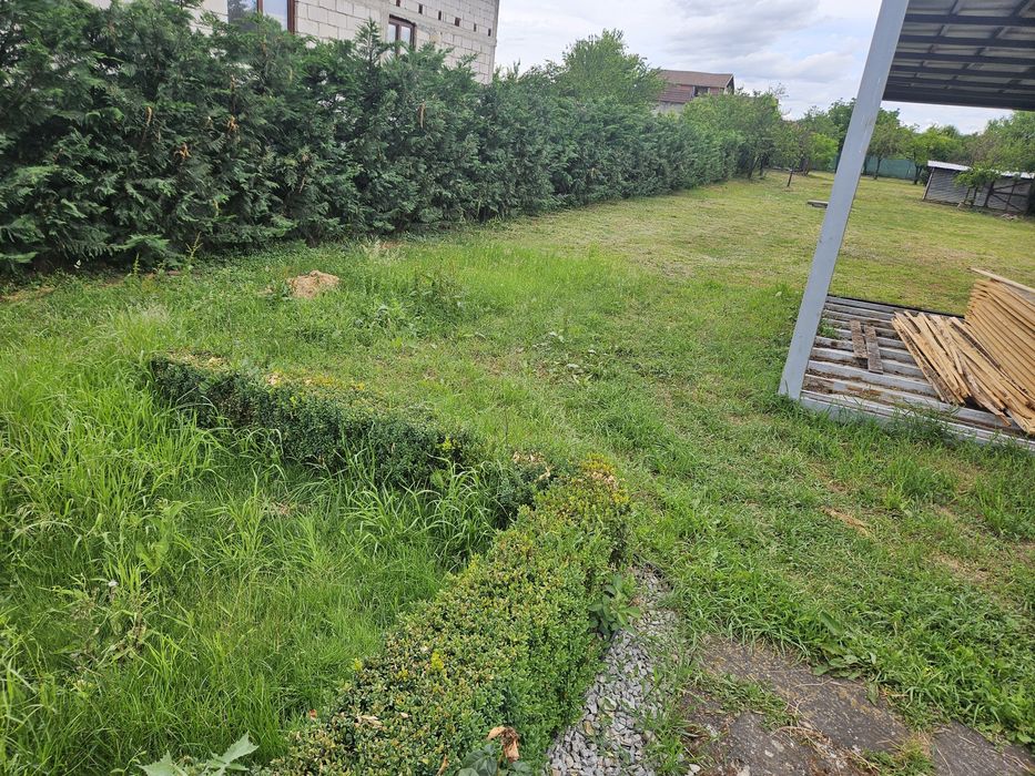 Vand proprietate front doua strazi Beius