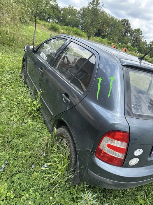 Vand skoda fabia
