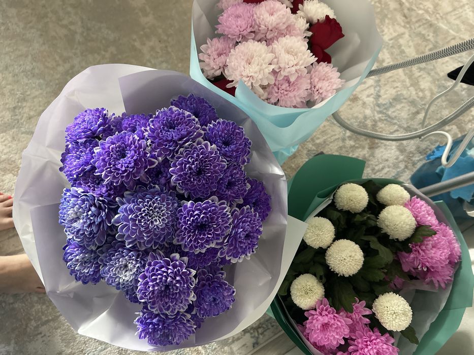 Продам цветы ночные б/у