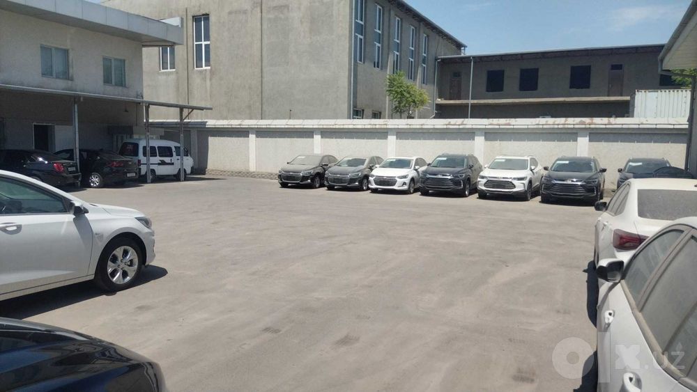 Автосалон бизнесининг 20% улуши сотилади!