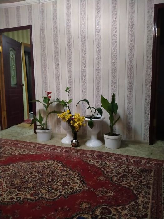 Урджарда үй сатылады