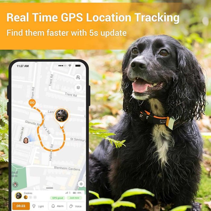 GPS Pawfit 3 pentru caini si pisici