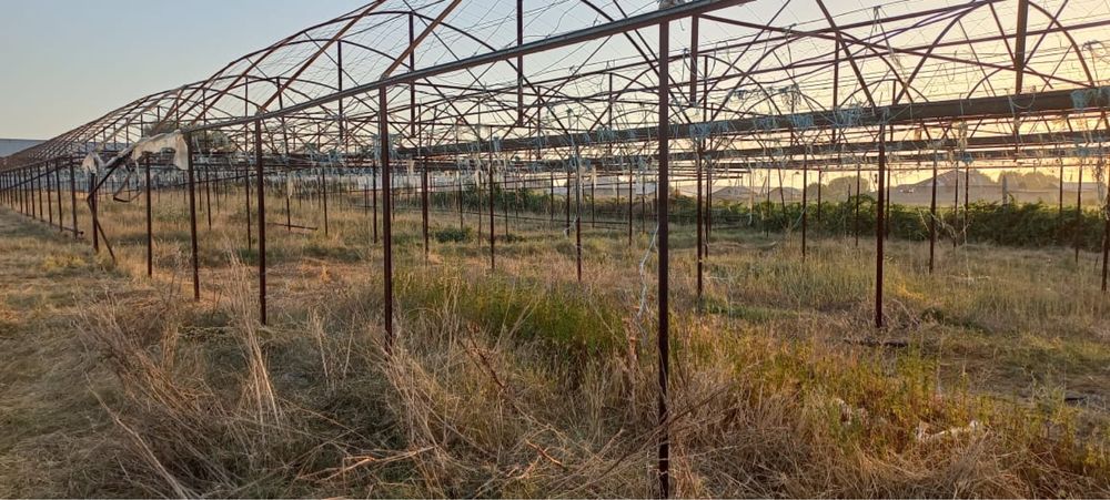 Продается срочно Дом с теплицей