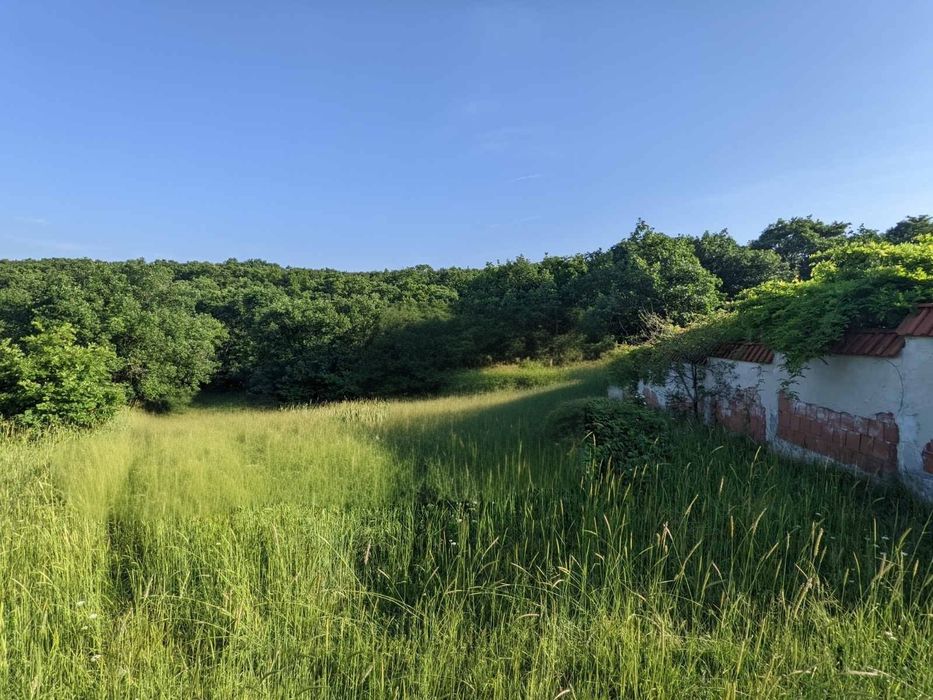 Дава под наем парцел, Синеморец